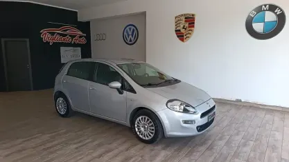 Usata Fiat Punto Lounge 85 CV (62 kW) 2014 Grigio Utilitaria
