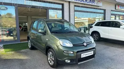 Usata Fiat Panda 4x4 75 CV (55 kW) 2012 Verde Utilitaria