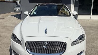 Usata Jaguar XJ 275 CV (202 kW) 2013 Bianco Berlina