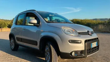 Usata Fiat Panda 4x4 S 75 CV (55 kW) 2013 Grigio Utilitaria