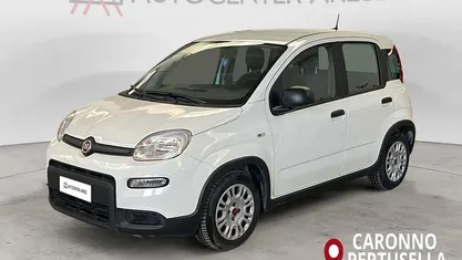 Usata Fiat Panda S 70 CV (51 kW) 2024 Bianco Utilitaria