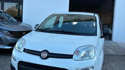 Usata Fiat Panda Easy 69 CV (50 kW) 2020 Bianco Utilitaria