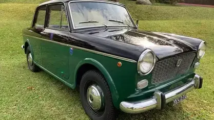 Usata Fiat 1100D 1960 Verde Berlina