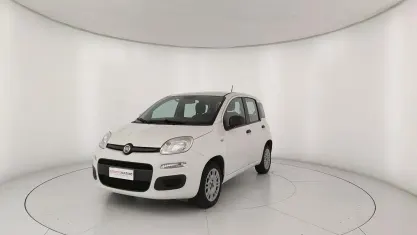 Occasion Fiat Panda Easy 69 PK (50 kW) 2020 Wit Hatchback
