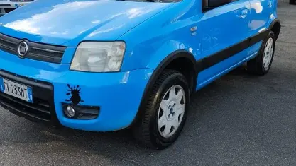 Usata Fiat Panda 4x4 Climbing 60 CV (44 kW) 2005 Bluazzurro Utilitaria