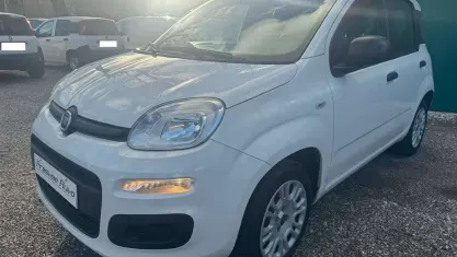 Usata Fiat Panda Easy 69 CV (50 kW) 2020 Bianco Utilitaria