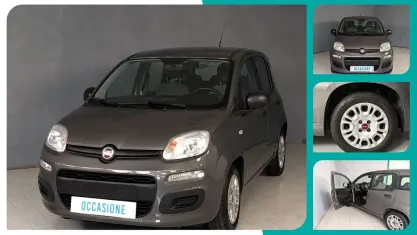 Käytetty Fiat Panda 70 HP (51 kW) 2022 Harmaa Viistoperä