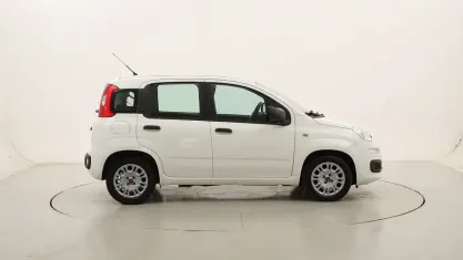 Usata Fiat Panda City Life 70 CV (51 kW) 2022 Biancobianco Utilitaria