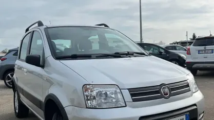 Usata Fiat Panda 4x4 Climbing 69 CV (50 kW) 2008 Grigio Utilitaria