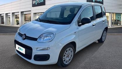 Usata Fiat Panda S 70 CV (51 kW) 2021 Bianco Utilitaria