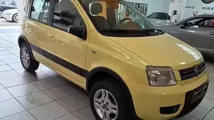 Usata Fiat Panda 4x4 Climbing 101 CV (74 kW) 2008 Giallo Utilitaria