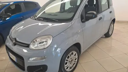 Usata Fiat Panda Easy 69 CV (50 kW) 2019 Grigio Utilitaria