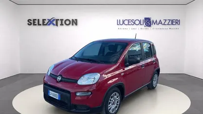 Usata Fiat Panda 70 CV (51 kW) 2024 Rosso Utilitaria