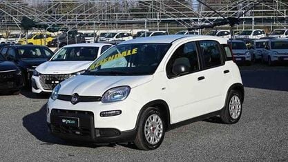 Usata Fiat Panda S 70 CV (51 kW) 2023 Bianco Utilitaria