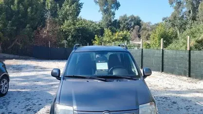 Usata Fiat Panda Emotion 69 CV (50 kW) 2011 Grigio Utilitaria
