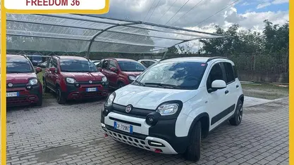 Usata Fiat Panda Cross Cross 69 CV (50 kW) 2024 Bianco Utilitaria