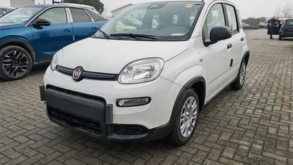 Usata Fiat Panda S 70 CV (51 kW) 2024 Bianco Utilitaria