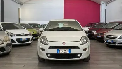 Usata Fiat Punto Lounge 70 CV (51 kW) 2014 Bianco Utilitaria