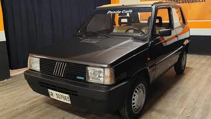 Usata Fiat Panda 39 CV (28 kW) 1992 Gray Utilitaria