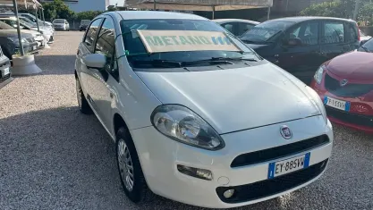 Usata Fiat Punto Lounge 70 CV (51 kW) 2015 Bianco Utilitaria
