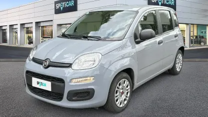 Usata Fiat Panda S 70 CV (51 kW) 2021 Grigio Utilitaria