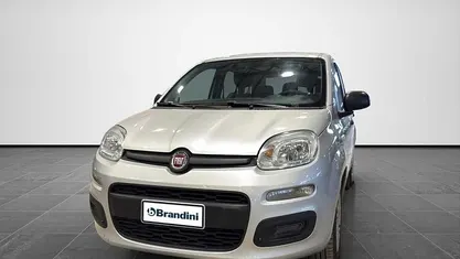 Usata Fiat Panda Easy 69 CV (50 kW) 2019 Grigio Utilitaria
