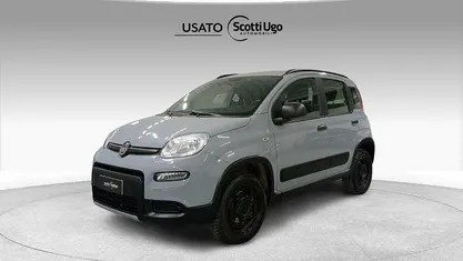 Usata Fiat Panda 4x4 Wild 86 CV (63 kW) 2021 Grigio Utilitaria