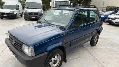 Usata Fiat Panda 4x4 Trekking 54 CV (39 kW) 2001 Blu Utilitaria