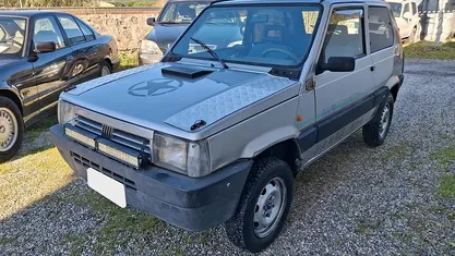 Usata Fiat Panda 4x4 Club 54 CV (39 kW) 1997 Utilitaria