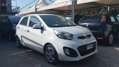 Usata Kia Picanto 69 CV (50 kW) 2015 Bianco Utilitaria