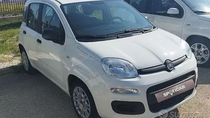 Usata Fiat Panda S 70 CV (51 kW) 2021 Bianco Utilitaria