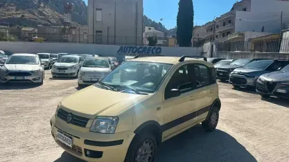 Usata Fiat Panda 4x4 60 CV (44 kW) 2009 Giallo Utilitaria