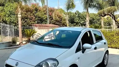 Usata Fiat Punto 69 CV (50 kW) 2016 Bianco Utilitaria