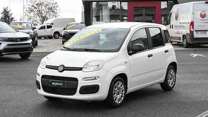 Usata Fiat Panda S 70 CV (51 kW) 2021 Bianco Utilitaria
