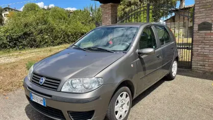 Usata Fiat Punto 60 CV (44 kW) 2006 Marrone Utilitaria