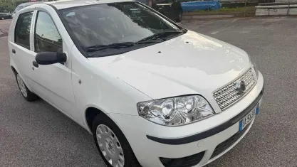 Usata Fiat Punto Active 60 CV (44 kW) 2009 Bianco Utilitaria