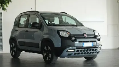 Usata Fiat Panda Cross Cross 69 CV (50 kW) 2020 Grigio Utilitaria