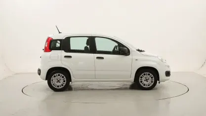 Usata Fiat Panda Easy 69 CV (50 kW) 2020 Biancobianco Utilitaria