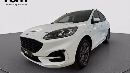 Usata Ford Kuga ST-Line X 225 CV (165 kW) 2023 Bianco SUV