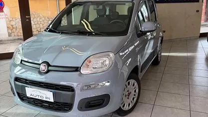 Usata Fiat Panda Easy 69 CV (50 kW) 2019 Grigio Berlina