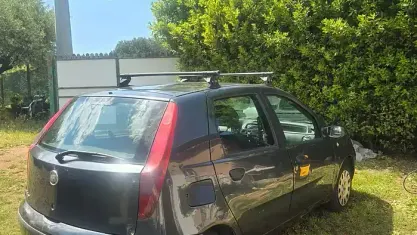 Usata Fiat Punto Active 60 CV (44 kW) 2009 Grigio Utilitaria