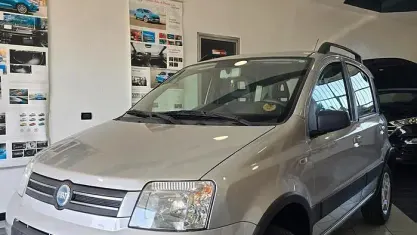 Usata Fiat Panda 4x4 Climbing 69 CV (50 kW) 2007 Grigio Utilitaria