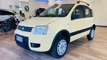 Usata Fiat Panda 4x4 Dynamic 69 CV (50 kW) 2007 Giallo Utilitaria