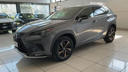 Usata Lexus NX300h E-FOUR 197 CV (144 kW) 2021 Grigio SUV