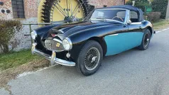 Nero Usata 1963 Austin Healey 3000 MK III Cabrio | 45.000 €