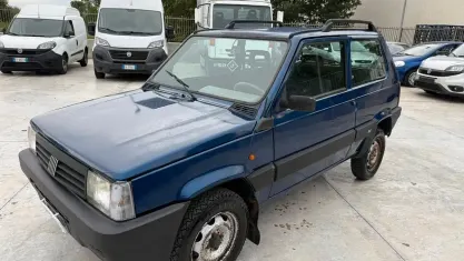Usata Fiat Panda 4x4 Trekking 54 CV (39 kW) 2001 Blu Utilitaria