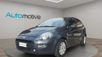 Usata Fiat Punto Lounge 77 CV (56 kW) 2016 Grigio Utilitaria