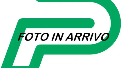 Usata Fiat Ulysse 131 kW (179 CV) 2025 Grigio Monovolume