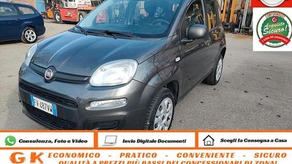 Usata Fiat Panda Easy 71 CV (52 kW) 2019 Grigio Utilitaria