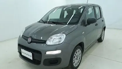 Usata Fiat Panda Easy 69 CV (50 kW) 2021 Grigio Utilitaria